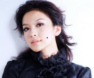 明星齐芳,星光璀璨的演艺之路