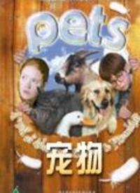 av宠物在线播放,揭秘虚拟宠物世界的奇幻之旅