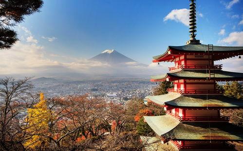 日本axxxx免费,免费体验的独特魅力之旅