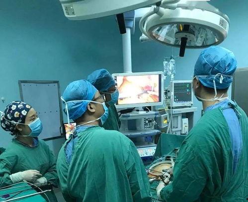 腹腔手术视频,腹腔手术操作步骤及要点解析