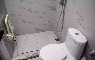 大厕所在线播放,揭秘隐秘角落的实时生活