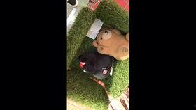 宇都宫  av,揭秘日本成人影视产业的魅力与争议