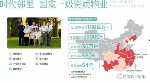 博罗新闻爆料热线,见证城市脉搏，倾听民声心声