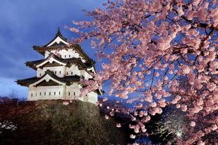 怀孕能去日本旅游吗,怀孕期间是否适合前往日本旅游？