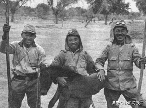 日本鬼子搞笑小品,荒诞幽默中的战争阴影