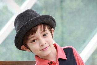 明星名字涛,探寻明星涛的璀璨人生