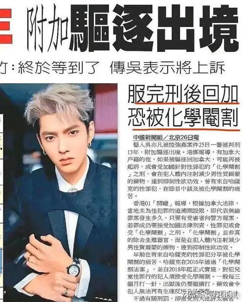 老王新片爆料视频,揭秘神秘剧情，带你领略视觉盛宴