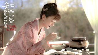 知否免费观看25