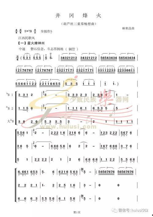 葫芦丝阿里郎教学视频,轻松入门，感受民族风情