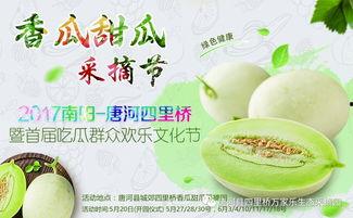 网红吃瓜大集合视频大全,揭秘热门视频背后的精彩瞬间